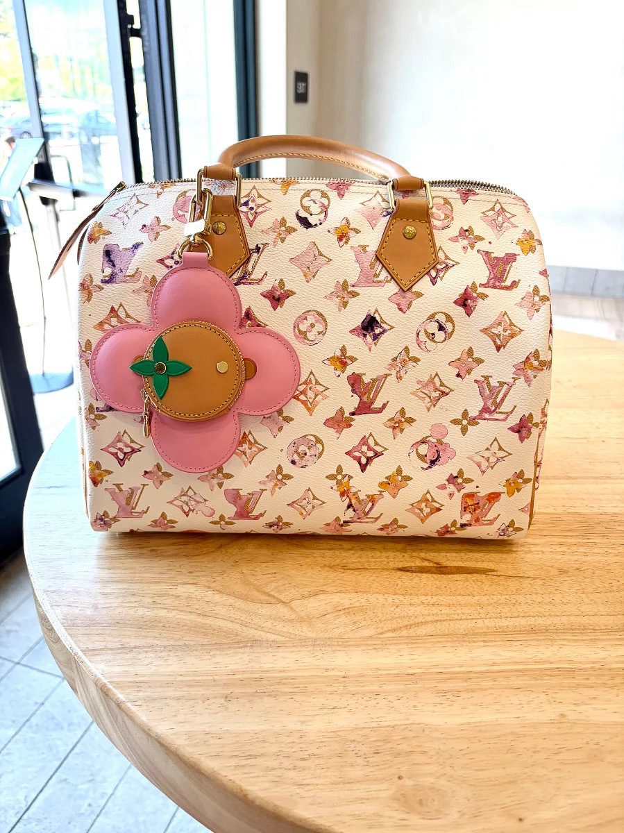 Louis Vuitton Limited Edition Watercolor Speedy Louis Vuitton Limited Edition Watercolor Speedy