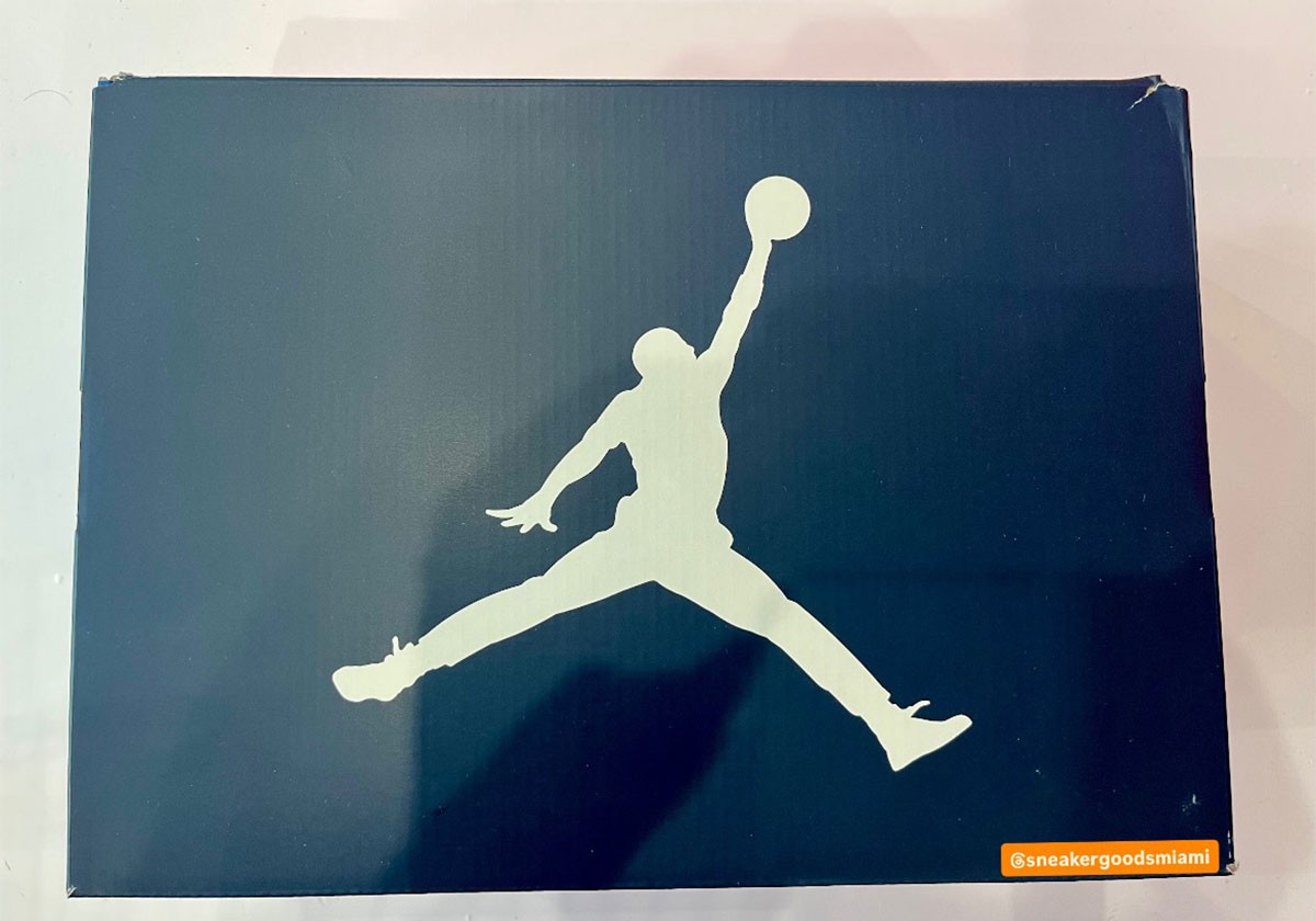 Air Jordan 3 Sports Renaissance Ck3246 400 9