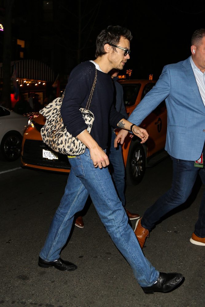 Harry Styles Chanel Leopard Flap Bag