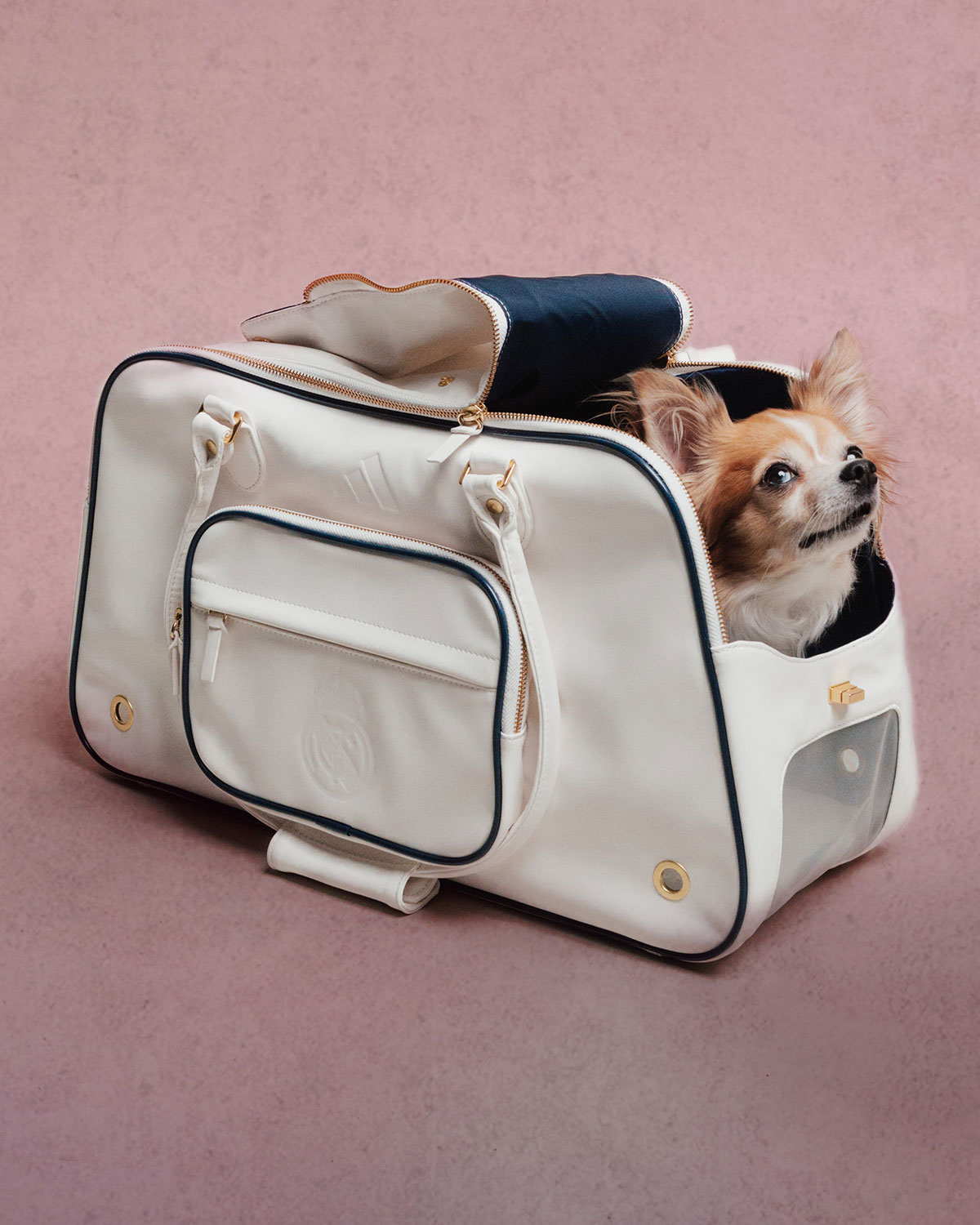 Adidas Club Football Fc Collection For Pets 5