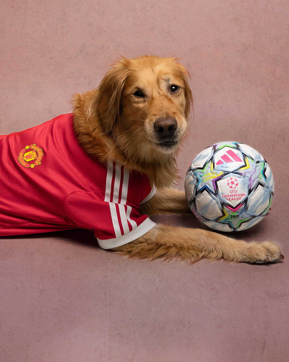 Adidas Club Football Fc Collection For Pets 7