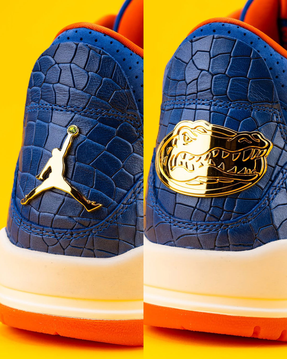 Air Jordan 3 Florida Gators 2025 National Championship Pe 10
