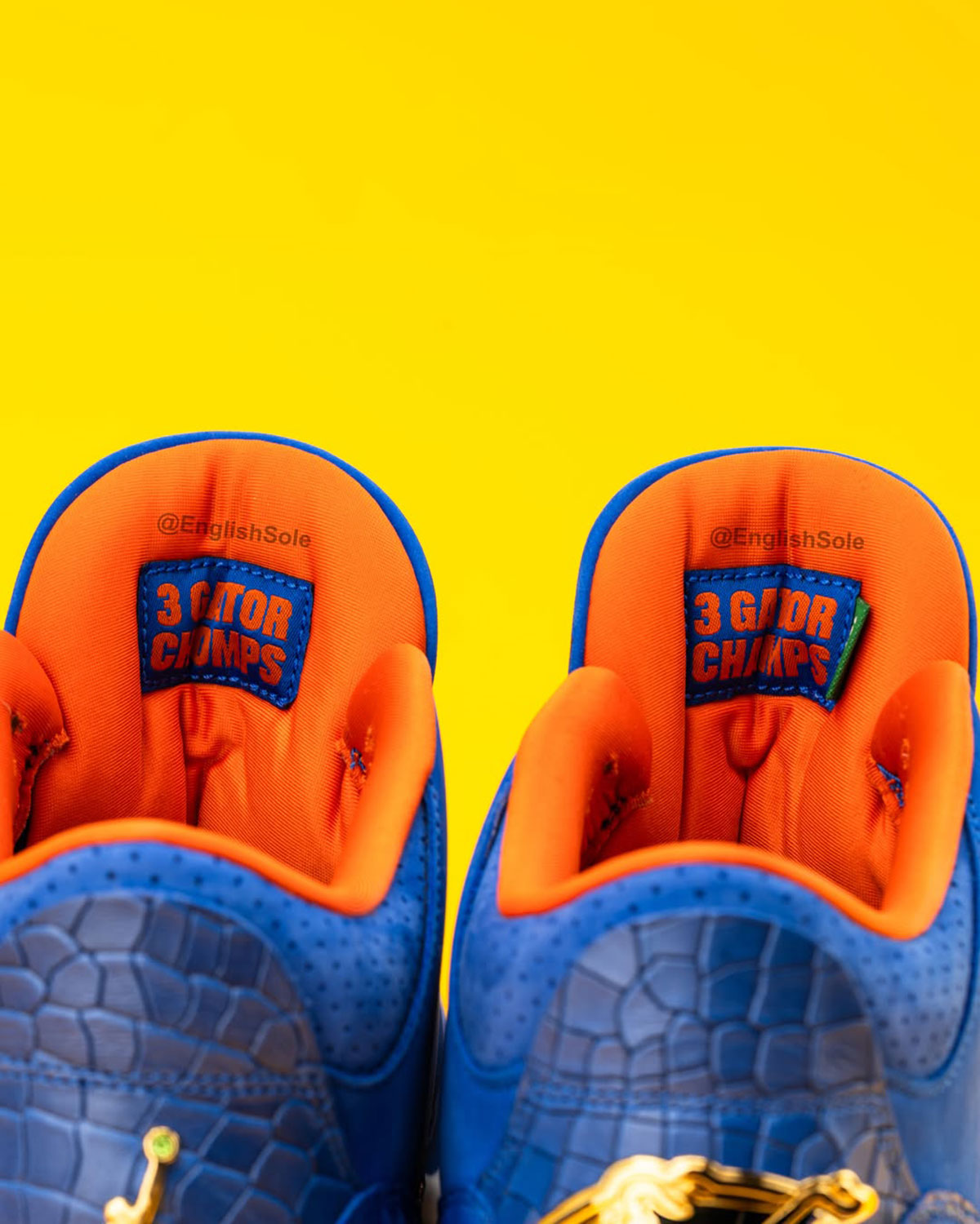 Air Jordan 3 Florida Gators 2025 National Championship Pe 12