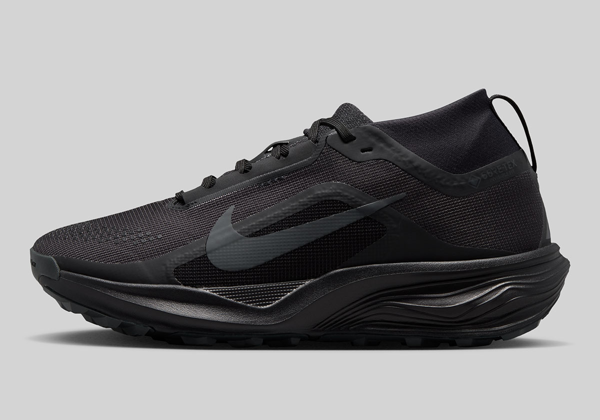 Nike Acg Pegasus Trail Gtx Iq1394 003 1