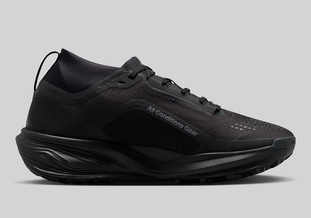 Nike Acg Pegasus Trail Gtx Iq1394 003 3