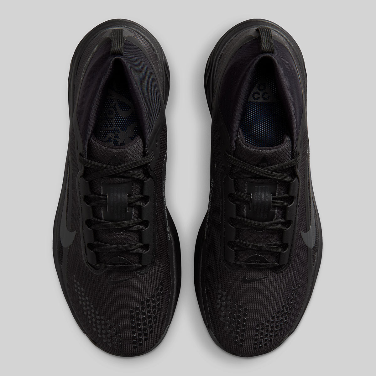 Nike Acg Pegasus Trail Gtx Iq1394 003 4