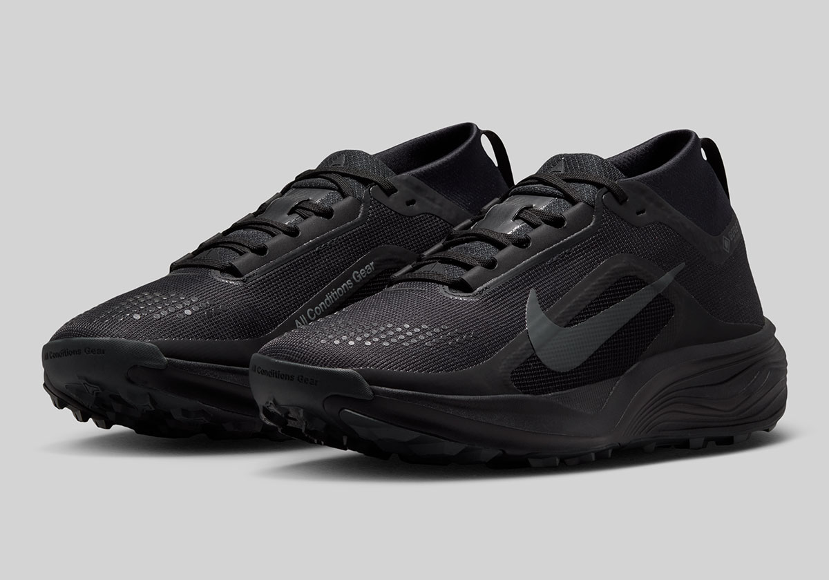 Nike Acg Pegasus Trail Gtx Iq1394 003 5
