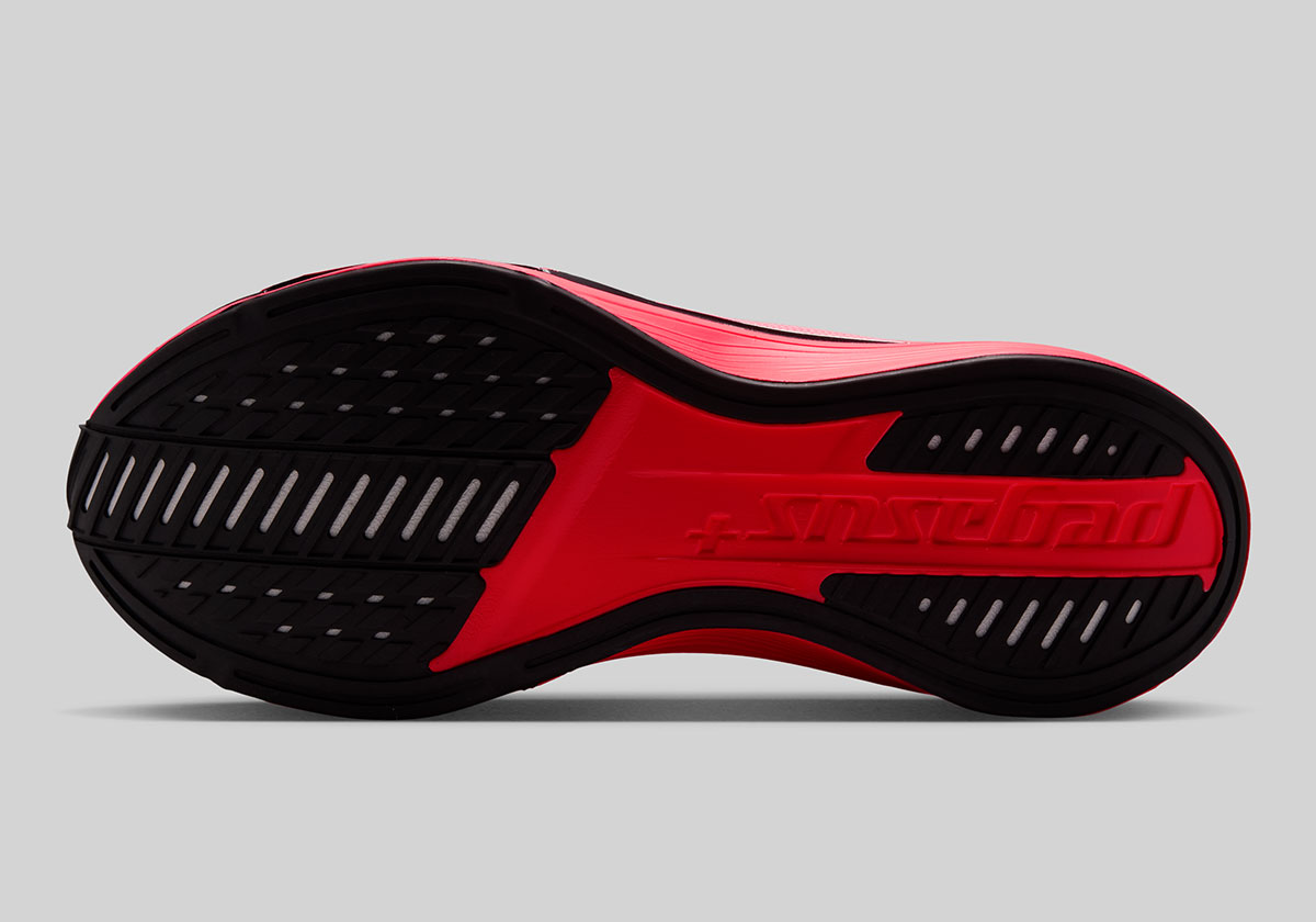 Nike Pegasus Plus 2 Flash Crimson Im2543 600 6