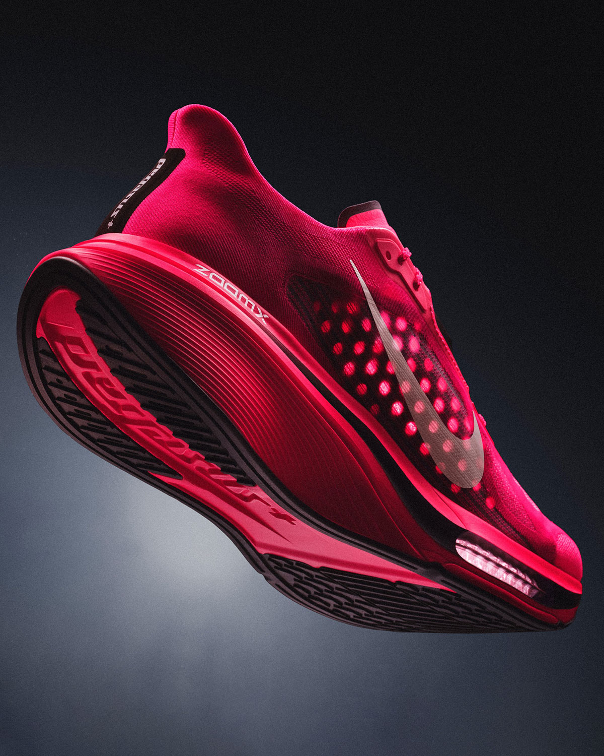 Nike Pegasus Plus 2 Release Date 2