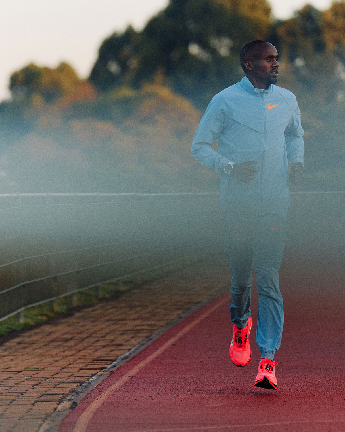 Nike Pegasus Plus 2 Release Date 4