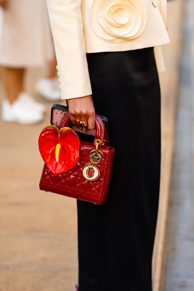 Best Street Style Bags SS27 41