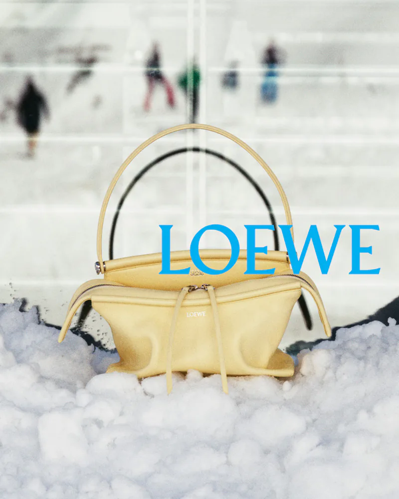 Loewe Whisker Bag Fall 2026 2