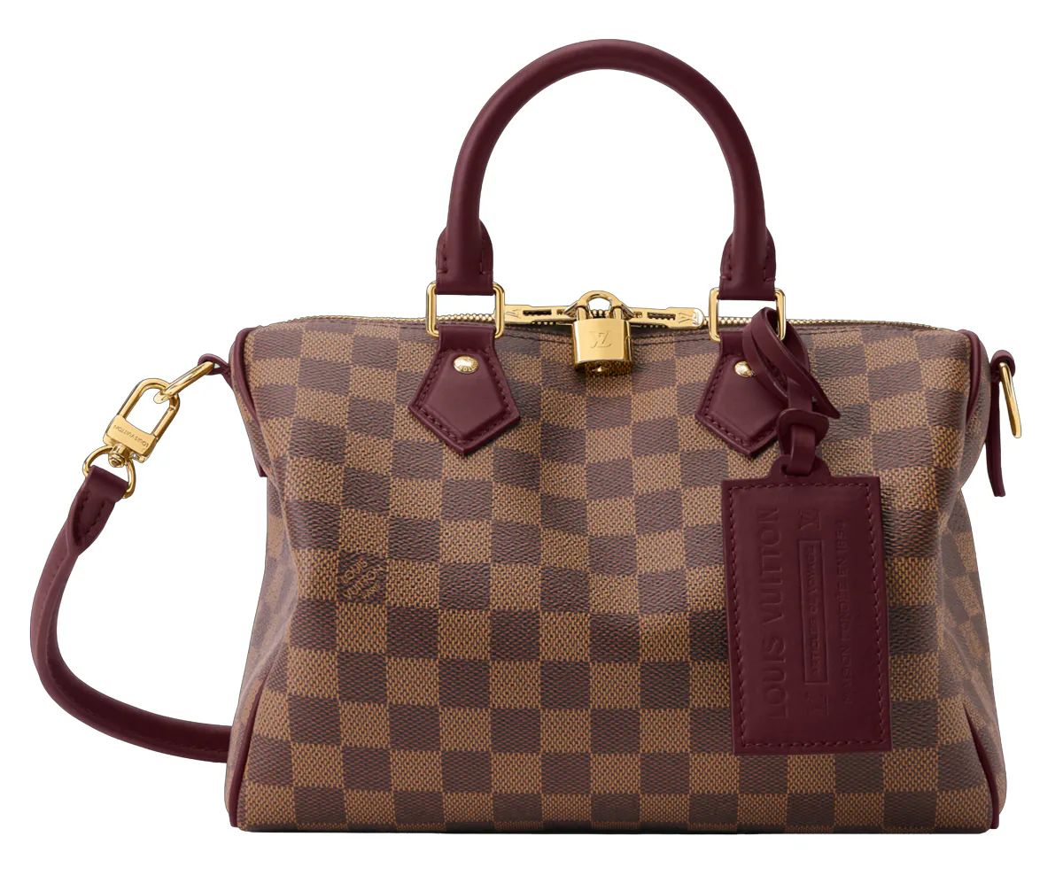 Louis Vuitton Speedy Soft 25