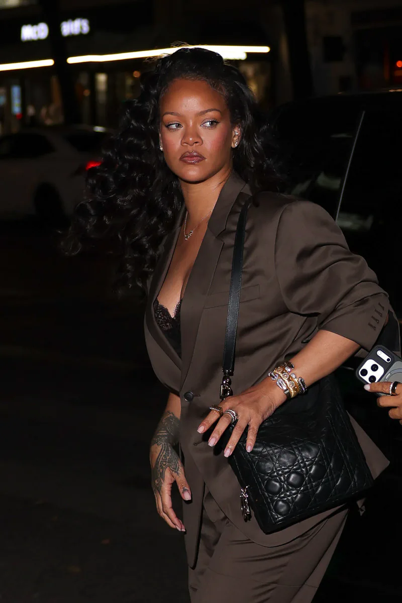 Rihanna Dior Tojours Hobo