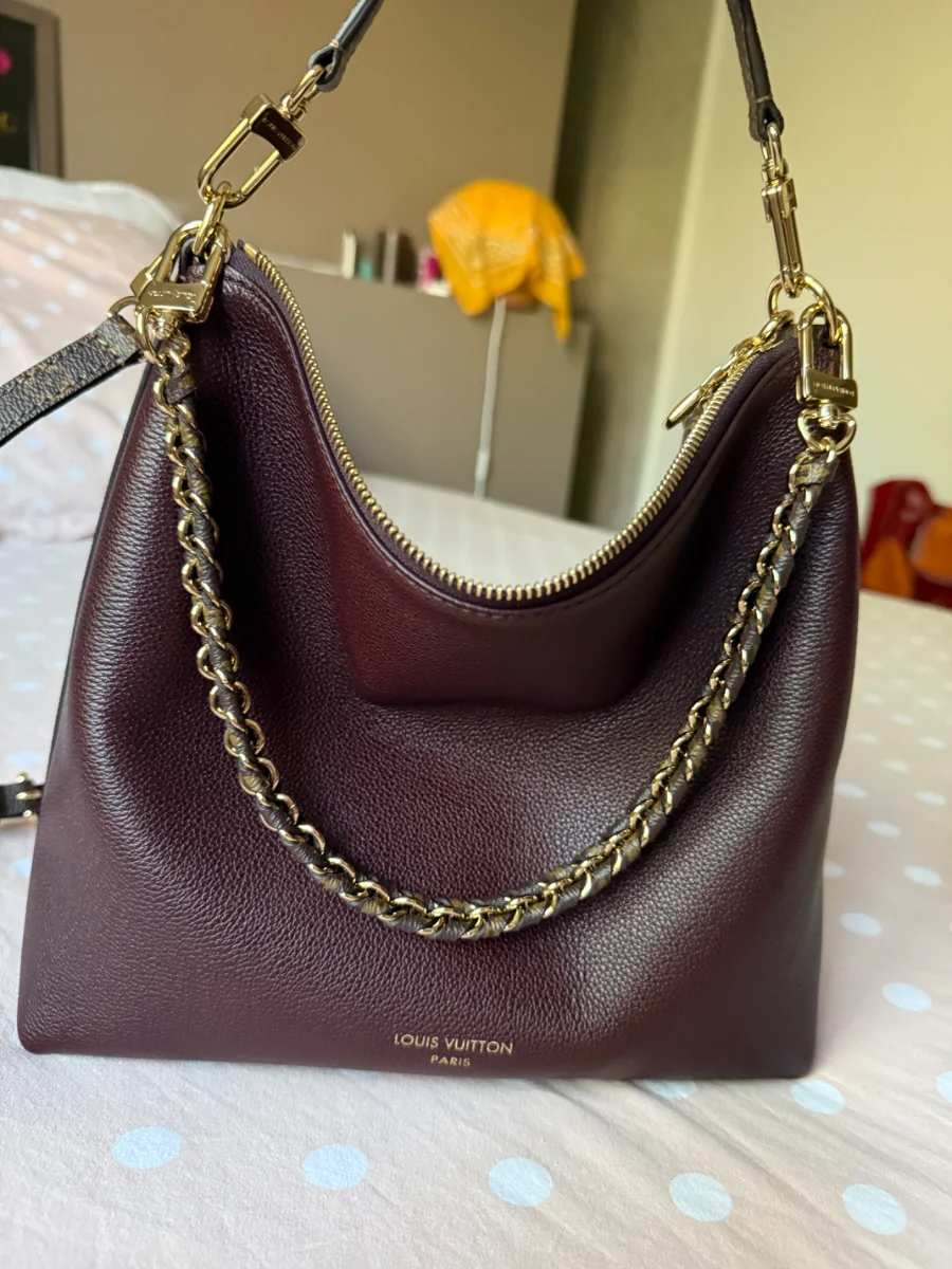 louis vuitton Louis Vuitton Multipass Handbag