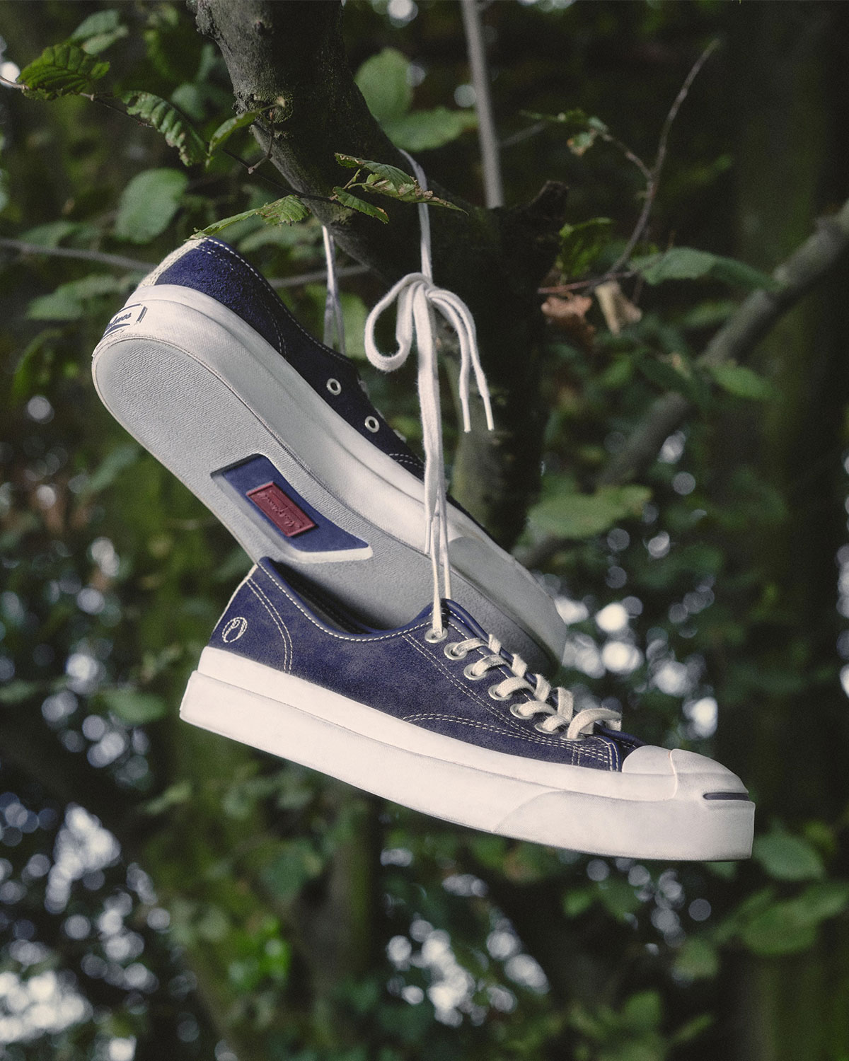 Palmes Converse Jack Purcell 10