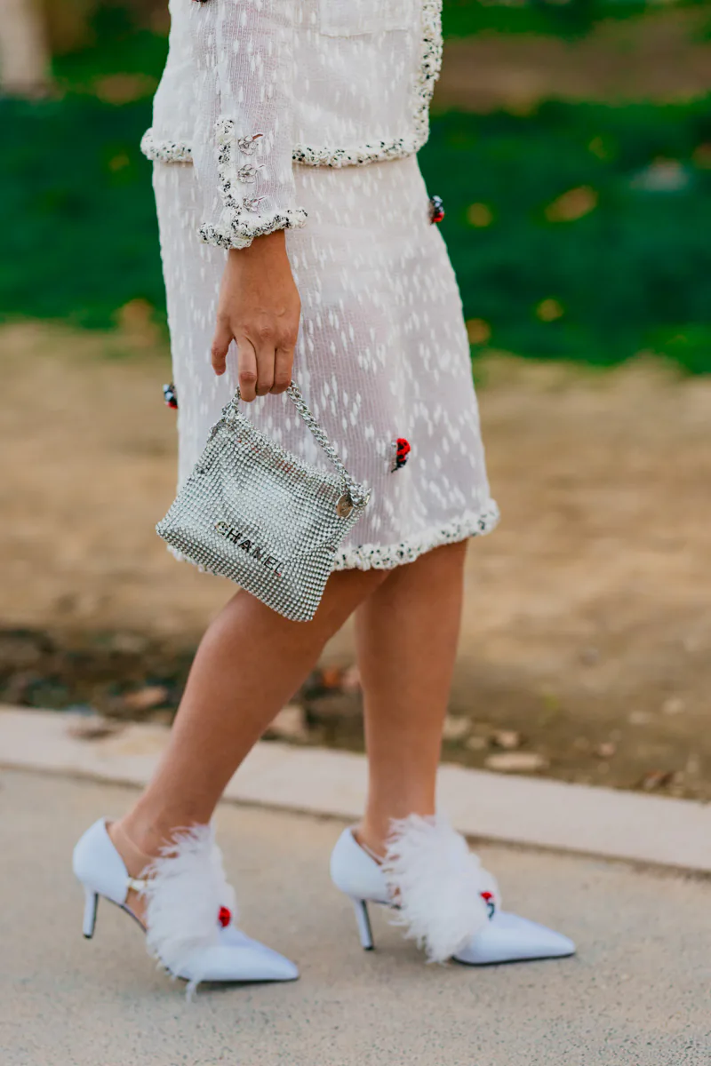 CHANEL SPRING 2027 Street Style Bags 7