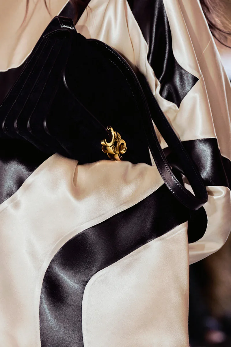 Celine SPRING 2027 BAG DETAILS 38