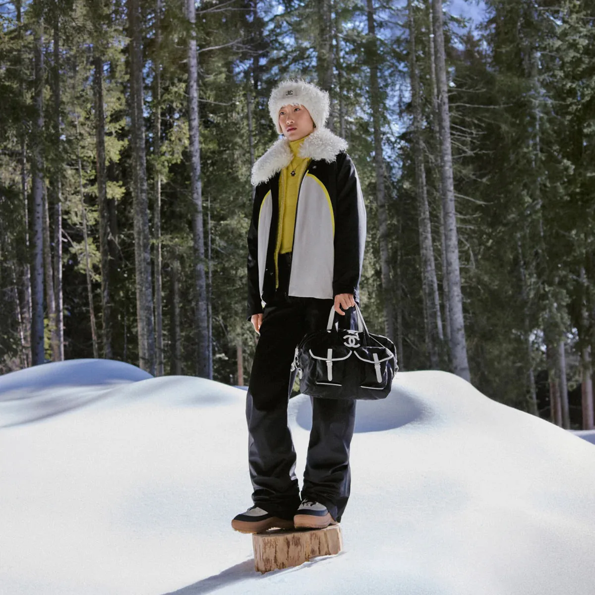 Chanel Coco Neige 2026 27 Bags 2