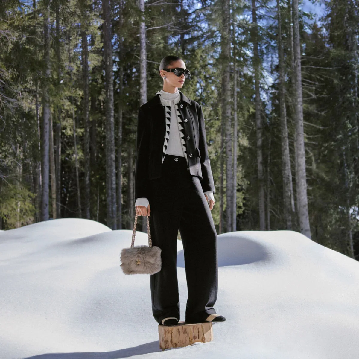 Chanel Coco Neige 2026 27 Bags 8