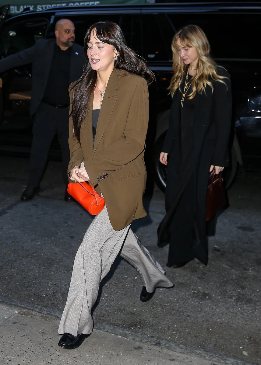 Dakota Johnson The Row