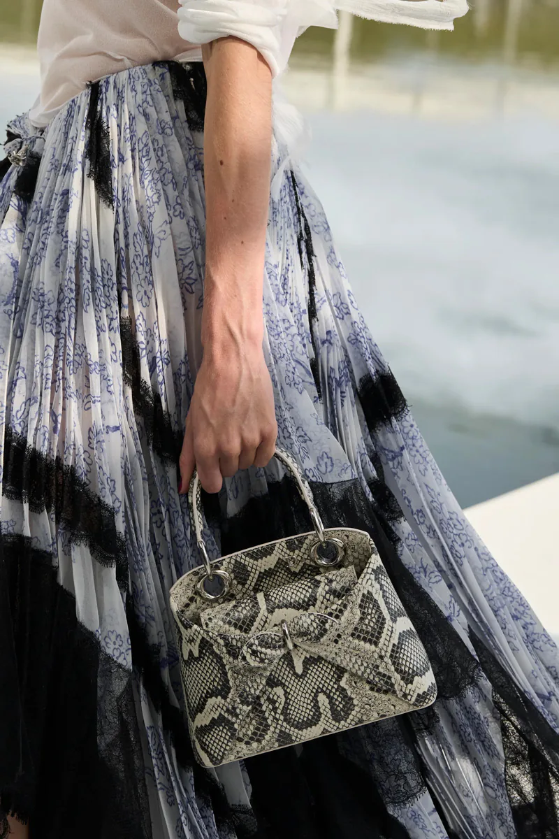 Dior Spring 2027 Bags 11