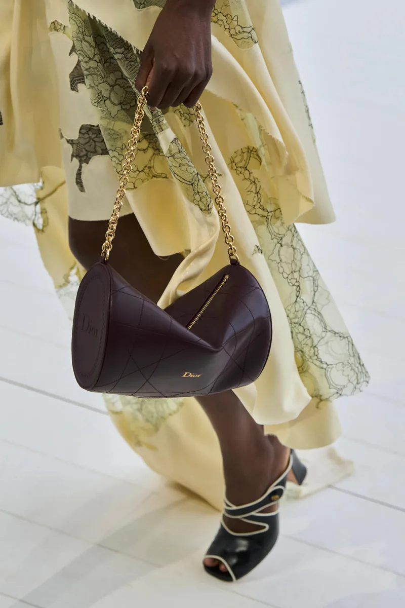 Dior Spring 2027 Bags 40