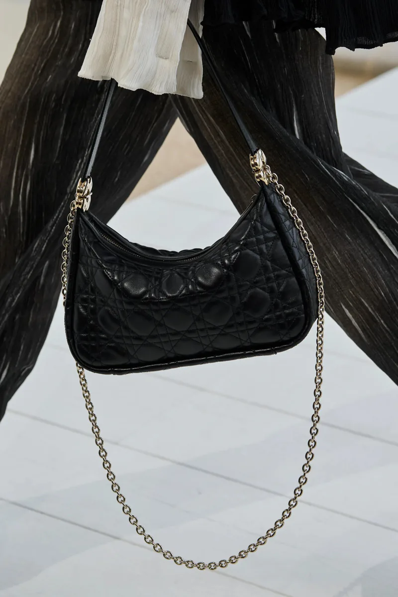 Dior Spring 2027 Bags 43