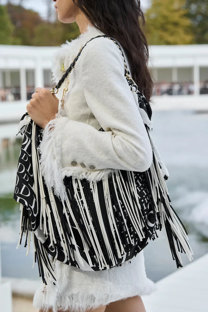 Dior Spring 2027 Bags 44
