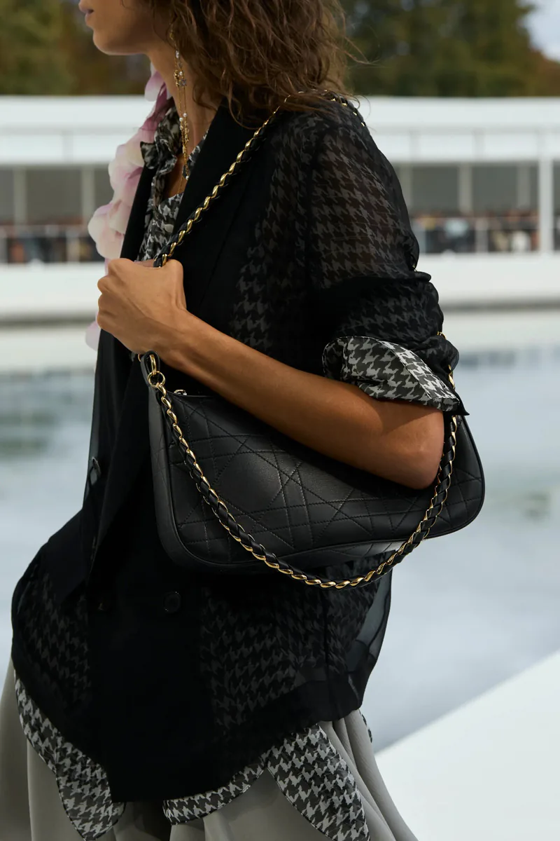 Dior Spring 2027 Bags