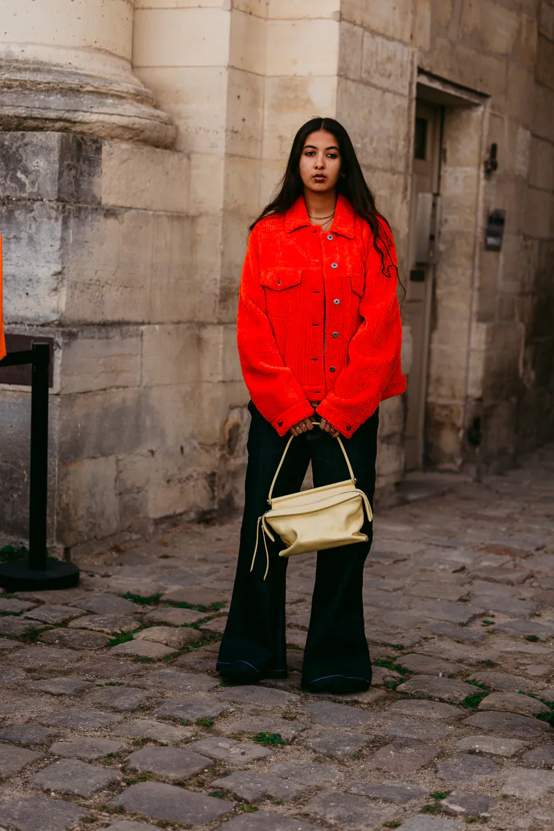 LOEWE Whisker bag in a pale yellow