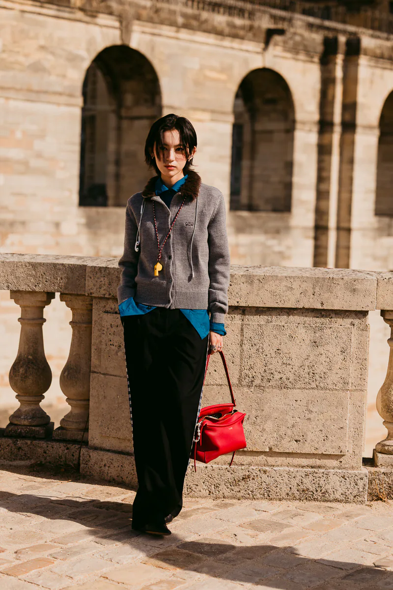 Loewe Small Whisker Bag in Red