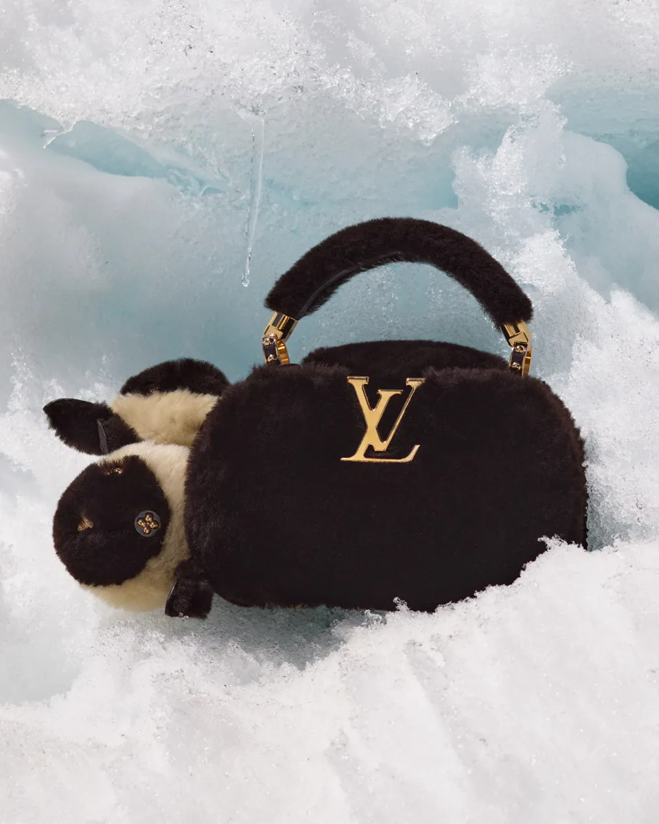 Louis Vuitton LV Ski 2026 6