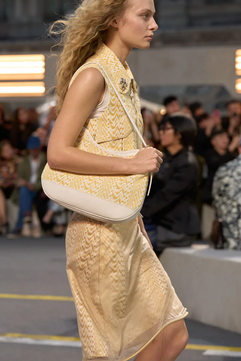 Louis Vuitton Spring 2027 Bags 8