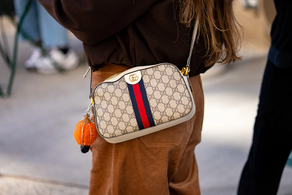Gucci Ophidia bag