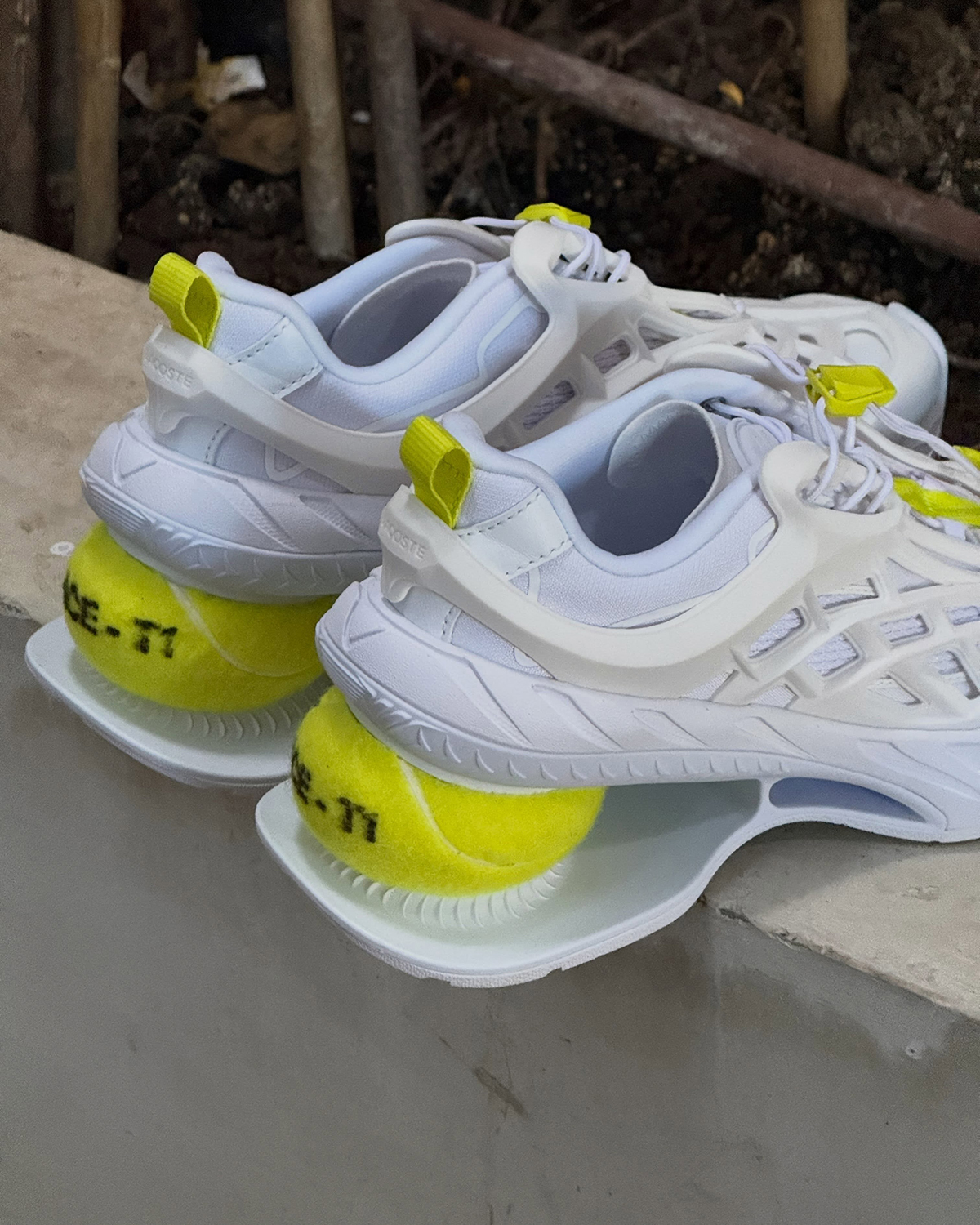 Lacoste Tennis Ball Sneaker Ace T 6